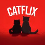 $CATFLIX